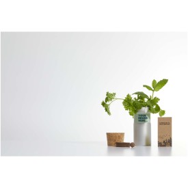 Hey Pots tuin voor op het bureau met kruidenmix