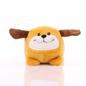 Hond