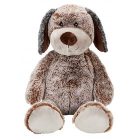 Hond constantin