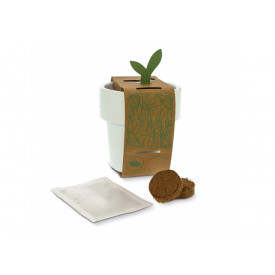 Hot-but-cool beker met kerstomaten zaadjes-Wit
