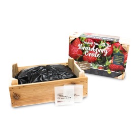 Houten kistje kweekset
