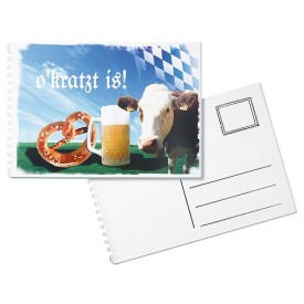 IJskrabber rechthoek - kunststof