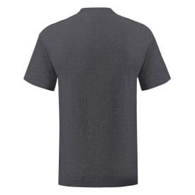 Kleuren T-Shirt Volwassene Iconic