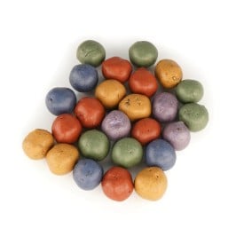 Kleurrijke Zaadbommetjes