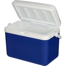 Koelbox 4 liter Sunkissed