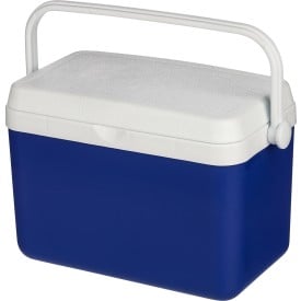 Koelbox 4 liter Sunkissed