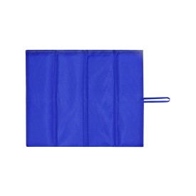 Kussen Xalan-Blauw