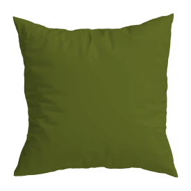 CC4040BC | Kussenhoes-Olive