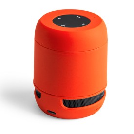 Luidspreker Braiss
