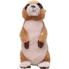 Meerkat Jürgen