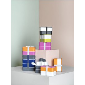 MIYO lunchtrommel 700ml - kunststof - dubbellaags - elastische band