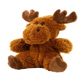 Moose Caro-Bruin