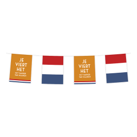 Oranje pakket - met 1 vlaggenlijn, 50 partyprikkers, 1 feesttoeter en een kaartje