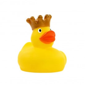 Piepende eendenkoning
