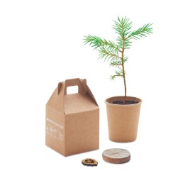 Pijnboom set