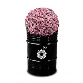 Plantenbak Black-Gitzwart