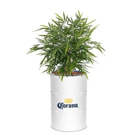 Plantenbak RAL Colour