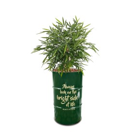 Plantenbak RAL Colour-Eigen kleur