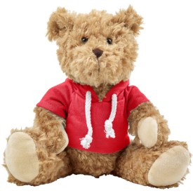 Pluche knuffelbeer met hoodie