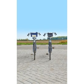 Polyester fietskoeltas Prisha