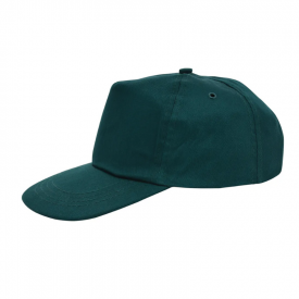 Promo cap-Flesgroen