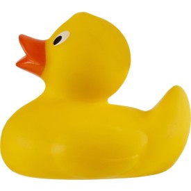 PVC bad eend