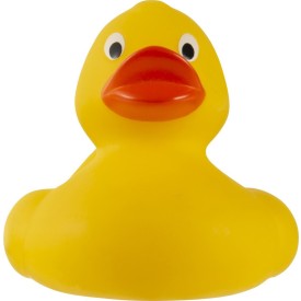 PVC bad eend