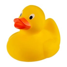 PVC bad eend