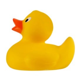 PVC bad eend