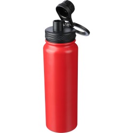 Roestvrijstalen dubbelwandige fles (800 ml) Zinnia