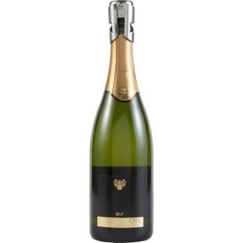 RVS champagne stopper