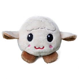 Schaap