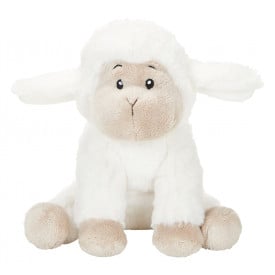 Schapen Tede
