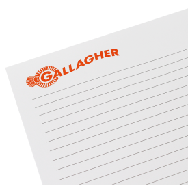Pearce schrijfblok - A4 - eucalyptus papier - 50 of 100 vellen