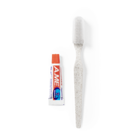 Set Dental Kit