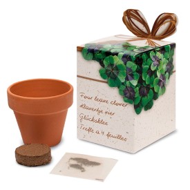 Terracotta potje 5 cm in showbox