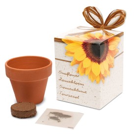 Terracotta potje 5 cm in showbox