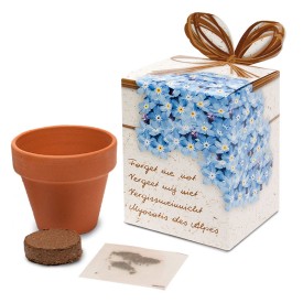 Terracotta potje 5 cm in showbox