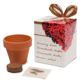 Terracotta potje 5 cm in showbox
