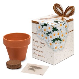 Terracotta potje 5 cm in showbox