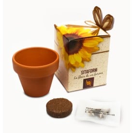 Terracotta potje 5 cm in showbox
