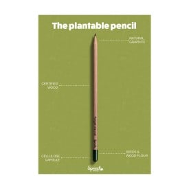 Sprout® geslepen potlood - hout - capsule met zaadjes