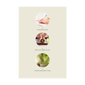Sprout® ongeslepen potlood - hout - capsule met zaadjes