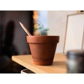 Sprout® ongeslepen potlood - hout - capsule met zaadjes