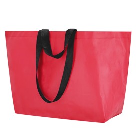 Tas Torvik
