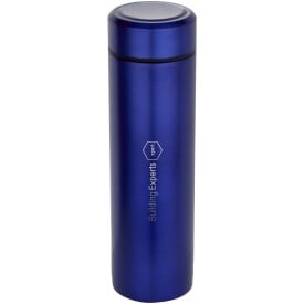 Taylor 450 ml dubbelwandige roestvrijstalen fles met theefilter