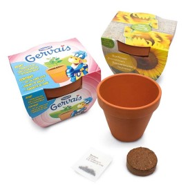 Terracotta potje 10 cm