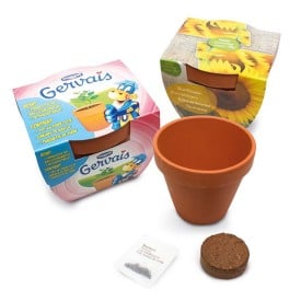 Terracotta potje 10 cm-N.v.t.