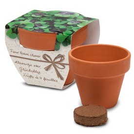Terracotta potje 5 cm-N.v.t.