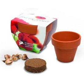 Terracotta potje standaard-N.v.t.